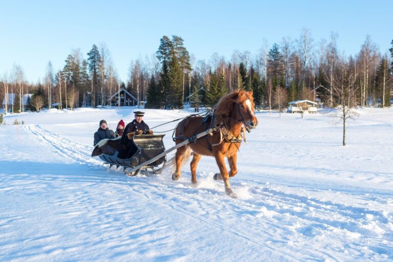 hevonen rekiajelu talvi