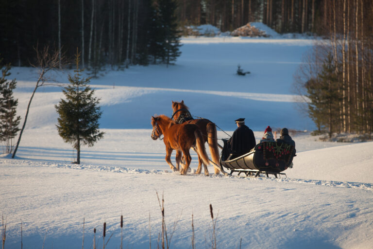 Horse-sleigh ride