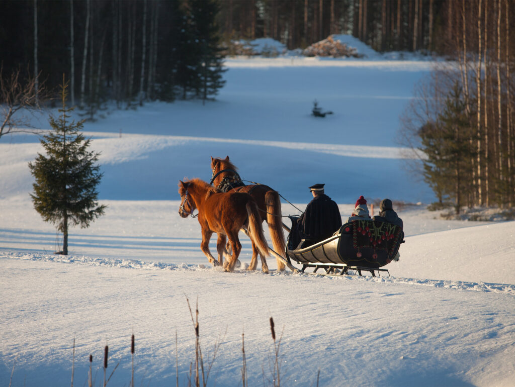 Horse-sleigh ride