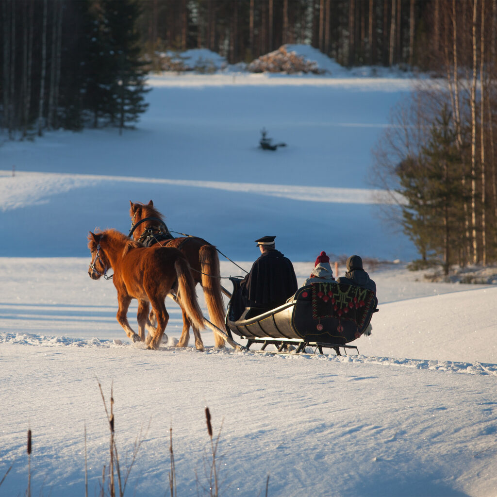 Horse-sleigh ride